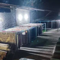 قالیشویی و پتو شویی حسام