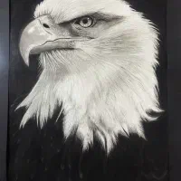 سفارش چهره سیاهقلم پذیرفته می‌شود|تابلو، نقاشی، عکس|هشتگرد, هشتگرد قدیم|دیوار