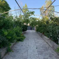 گلخونه 1500متری سند دار در شهریار