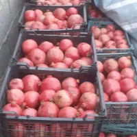 فروش ۳۰۰ کیلو انار خوب