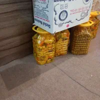 باسلام پخش لواشک وخیارشور