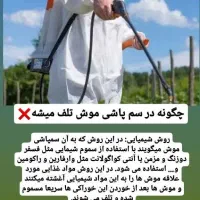 سم پاشی موریانه..ساس..