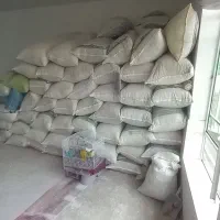 کنگر