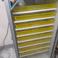 دستگاه جوجه کشی|ابزارآلات|قائم‌شهر, |دیوار