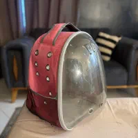 کوله سگ یا گربه