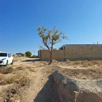 فرصت سرمایه‌گذاری پرسود در نزدیکی شهر ـ آغویه|فروش زمین و ملک کلنگی|تربت‌حیدریه, آغوی|دیوار