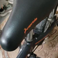 دوچرخه|دوچرخه، اسکیت، اسکوتر|گنبد کاووس, |دیوار