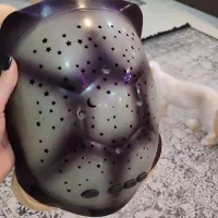 لاکپشت کهکشانی|اسباب‌بازی بچه|رشت, کوی مهر|دیوار