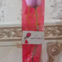 رز طبیعی تک شاخه مناسب مهرماه|گل و گیاه طبیعی|اهواز, کوی طلاب|دیوار