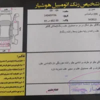 ۲۰۶ تیپ ۲|خودرو سواری و وانت|فاضل آباد, |دیوار