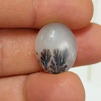 سنگ شجر|بدلیجات|کرمانشاه, |دیوار