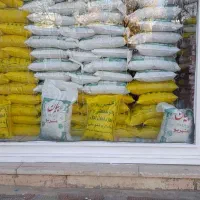 برنج دشت ندا مازندران و برنج عنبر بوی خوزستان