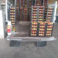 نیسان دوگانه فابریک مدل85|خودرو سواری و وانت|داران, |دیوار