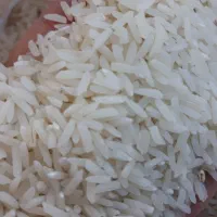 فروش برنج هاشمی اصل