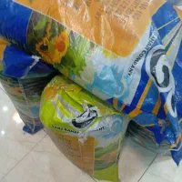 تخمه اعلا خوی