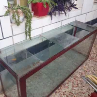 آکواریوم