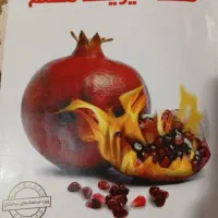 پایه هفتم تیزهوشان