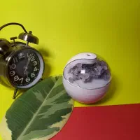 فروشگاه اینترنتی زرند کالا|لوازم جانبی موبایل و تبلت|زرند, |دیوار