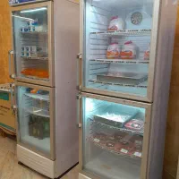 فریزر دو درب فروشگاهی