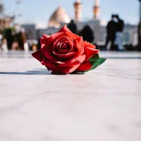 آژانس ماهلین گشت با افتخار تقدیم می‌کند//مشهد