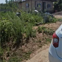 دوبر طارگوراب ۵۹۰ متر آسفالت،دیوار پروانه.قسطی|فروش زمین و ملک کلنگی|طاهرگوراب, |دیوار