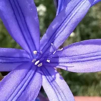 نیاز به کار دارم