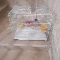 قفس پرنده