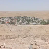 یک قطع زمین در تایباد فروشی