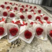 گل های روبانی|گل و گیاه طبیعی|اسلامشهر, شهرک مهدیه|دیوار