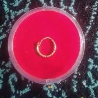 طلای گم شده