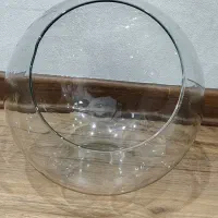 گلدان|گل و گیاه طبیعی|تهران, ستارخان|دیوار