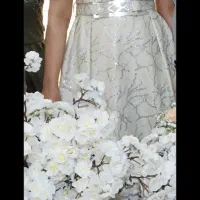 ماکسی مجلسی|لباس|پارس‌آباد, |دیوار