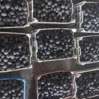 استخدام تولید ذغال خان اذربایجان