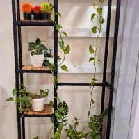 رگال.رخت آویز