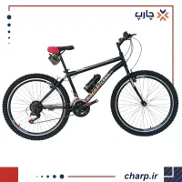 دوچرخه دزدیده شده