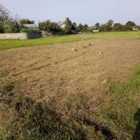 زمین مسکونی به متراژ 386متر|فروش زمین و ملک کلنگی|شلمان, |دیوار
