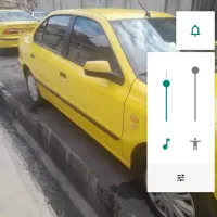 سمندعمومی زرد رنگ