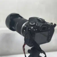 دوربین Canon 80d|دوربین عکاسی و فیلمبرداری|قم, سالاریه|دیوار