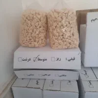 کشک کله قندی
