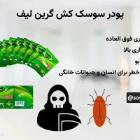 یک بار برای همیشه از شر سوسک ها خلاص بشید