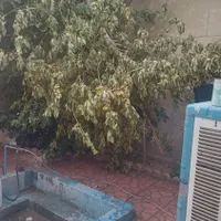 سازنده‌ها بخونن/ خانه۳۲۸ متری لنبان/ باپروانه ساخت|فروش زمین و ملک کلنگی|اصفهان, لنبان|دیوار