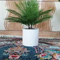 انواع درختچه های بزرگ و کوچک