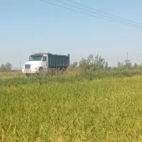 زمین کشاورزی