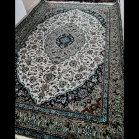 قالی قالیچه|فرش|اهواز, فاز ۲ پادادشهر|دیوار