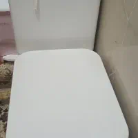 فرنگی