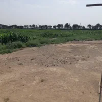 کار در مزرعه کشاورزی