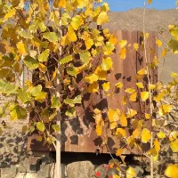 منبع اب وسوخت|مصالح و تجهیزات ساختمان|کرمان, |دیوار