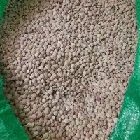 برنج و حبوبات مناسب تراز همه جا نیمدانه۱۷۰|خوردنی و آشامیدنی|بروجرد, |دیوار