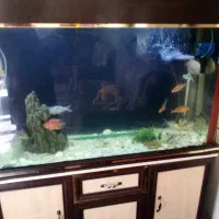 فروش آکواریوم ۱۰ میل با تمام وسایل و تجهیزات|ماهی|شهرکرد, |دیوار