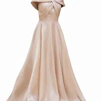 لباس مجلسی شاین دار